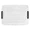 IRIS® 32qt. Buckled Clear Boxes with Clear Buckle Lids, 4ct.